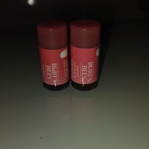 Burt's Bees Lip Balm Duo